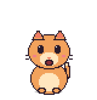 Pixie the cat